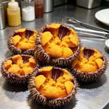 Premium Fresh Sea Urchin Roe